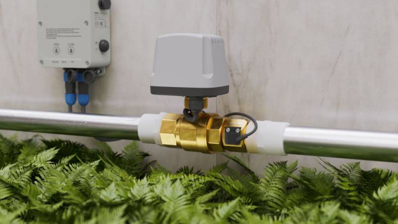 wfc02-hor-1024.jpg wfc02-hor-1024.jpg